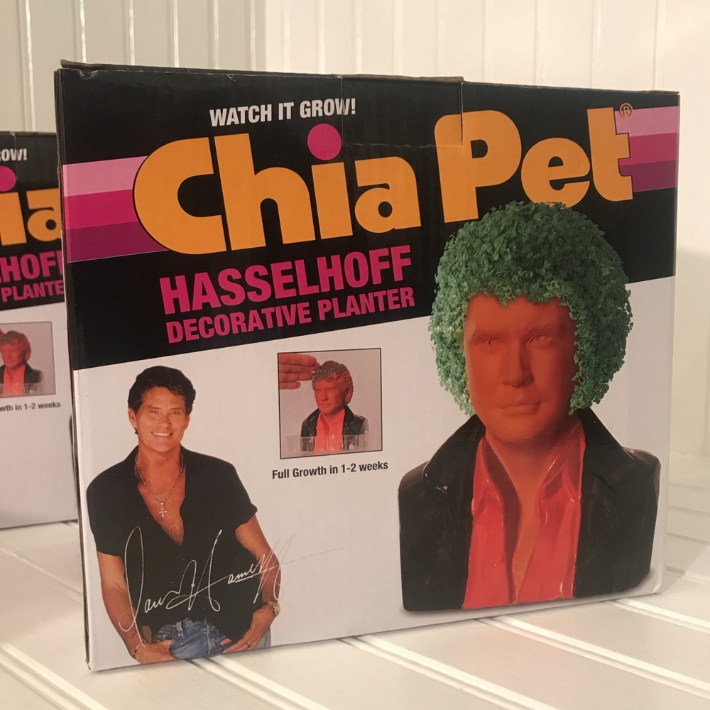 Hasselhoff Chia Pet Decorative Pottery Planter